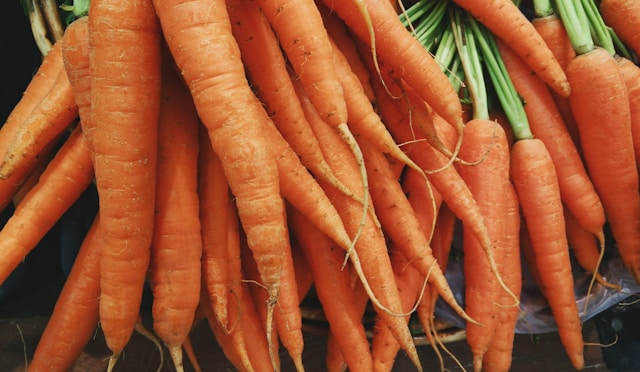 英文生字：carrot 