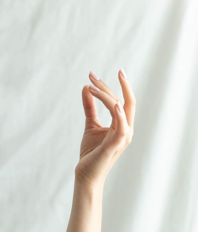 英文生字：手hand 