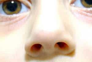 英文生字：nose 鼻子 