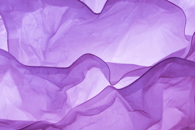 英文顏色詞彙 purple 